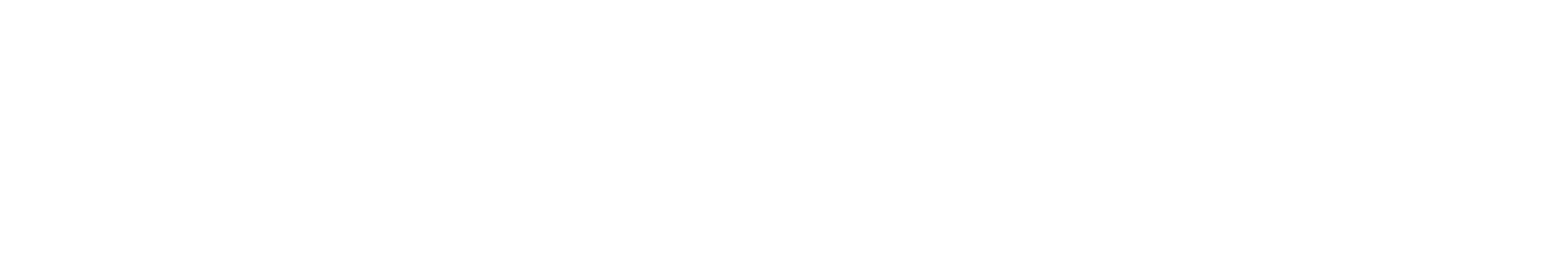 CISO Masterminds-Logo-Whiteout